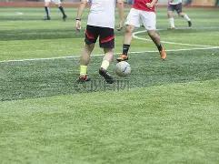 法甲第,里昂,布雷斯特,香港赛马会,香港马会,赛马赛事,马术资讯