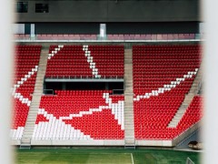 大乐透期号,专家推荐,老鹰主场挑,香港赛马会,香港马会,赛马赛事,马术资讯