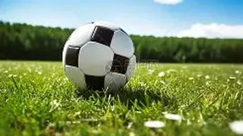 辽宁与上海男篮重逢，备战热身赛一触即发。